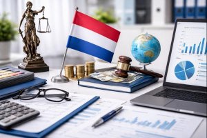 Налоговый юрист: роль, компетенции и практическое значение в современном праве