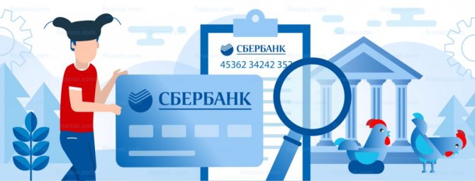 Sberbank card personal account: what is it for? How to recognize him? 