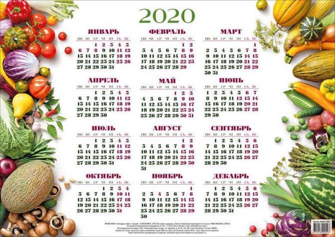 Начало календарного года