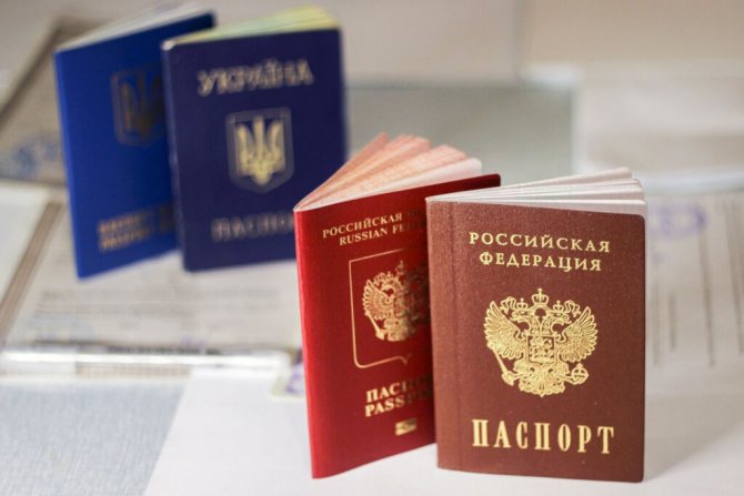Срок рассмотрения заявления на гражданство РФ по НРЯ