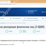 Заполнение данных на сайте nalog.ru
